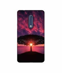 Amazon Brand - Solimo Designer Nature Digital Painting 3D Printed Hard Back Case Mobile Cover for Nokia 5