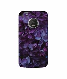 Amazon Brand - Solimo Designer Purple Flowers UV Printed Soft Back Case Mobile Cover for Motorola Moto G5 Plus