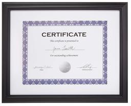 AmazonBasics Certificate Document Frame With Mat, 8.5