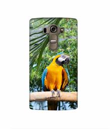 Amazon Brand - Solimo Designer Macaw Bird 3D Printed Hard Back Case Mobile Cover for LG G4 Stylus