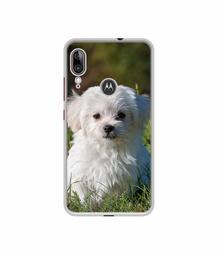 Amazon Brand - Solimo Designer White Dog UV Printed Soft Back Case Mobile Cover for Motorola Moto E6s