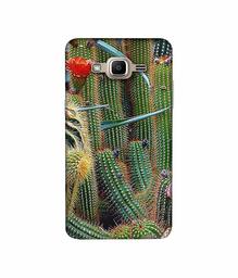 Amazon Brand - Solimo Designer Cactus 3D Printed Hard Back Case Mobile Cover for Samsung Galaxy J2 Prime