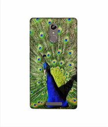 Amazon Brand - Solimo Designer Peacock 3D Printed Hard Back Case Mobile Cover for Gionee S6s