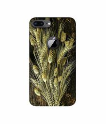 Amazon Brand - Solimo Designer Wheat Plants 3D Printed Hard Back Case Mobile Cover for Apple iPhone 8 Plus (with Logo Cut)