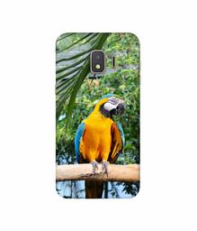 Amazon Brand - Solimo Designer Macaw Bird 3D Printed Hard Back Case Mobile Cover for Samsung Galaxy J2 Core