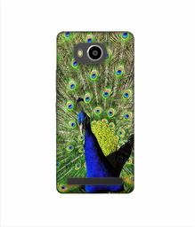 Amazon Brand - Solimo Designer Peacock 3D Printed Hard Back Case Mobile Cover for Lenovo A7700