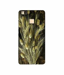 Amazon Brand - Solimo Designer Wheat Plants 3D Printed Hard Back Case Mobile Cover for Huawei P9 lite