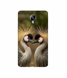 Amazon Brand - Solimo Designer Birds 3D Printed Hard Back Case Mobile Cover for OnePlus 3 / OnePlus 3T