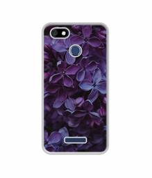 Amazon Brand - Solimo Designer Purple Flowers UV Printed Soft Back Case Mobile Cover for Panasonic Eluga A4