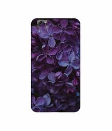 Amazon Brand - Solimo Designer Purple Flowers 3D Printed Hard Back Case Mobile Cover for Vivo Y66