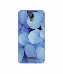 Amazon Brand - Solimo Designer Light Blue Flower Photography 3D Printed Hard Back Case Mobile Cover for Gionee P7 Max