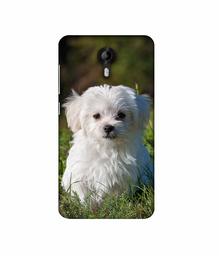 Amazon Brand - Solimo Designer White Dog 3D Printed Hard Back Case Mobile Cover for Micromax Canvas Nitro 4G E455