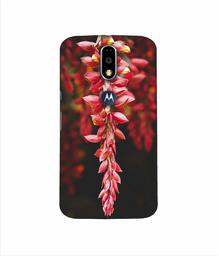 Amazon Brand - Solimo Designer Flowers Photograpy 3D Printed Hard Back Case Mobile Cover for Motorola Moto G4 Plus (with Logo Cut)