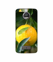 Amazon Brand - Solimo Designer Lemon 3D Printed Hard Back Case Mobile Cover for Moto Z2 Play