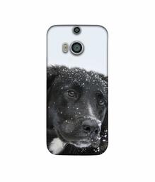 Amazon Brand - Solimo Designer Labrador Dog 3D Printed Hard Back Case Mobile Cover for HTC One M8