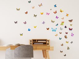 Amazon Brand - Solimo Wall Sticker for Home (Butterflies, ideal size on wall , 93 cm X 45 cm),Multicolour