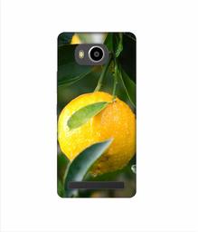 Amazon Brand - Solimo Designer Lemon 3D Printed Hard Back Case Mobile Cover for Lenovo A7700