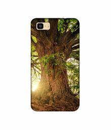 Amazon Brand - Solimo Designer Tree Trunk 3D Printed Hard Back Case Mobile Cover for Asus Zenfone 3S Max