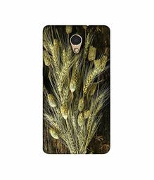 Amazon Brand - Solimo Designer Wheat Plants 3D Printed Hard Back Case Mobile Cover for Lenovo P2