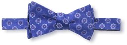 Franklin Tailored Men's Medallion Bow Tie, Blue