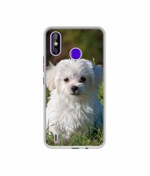 Amazon Brand - Solimo Designer White Dog UV Printed Soft Back Case Mobile Cover for Tecno Spark 4 Air