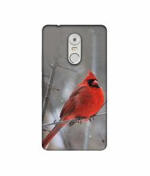 Amazon Brand - Solimo Designer Red Engry Bird 3D Printed Hard Back Case Mobile Cover for Lenovo K6 Note