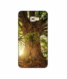 Amazon Brand - Solimo Designer Tree Trunk 3D Printed Hard Back Case Mobile Cover for Samsung Galaxy C7 Pro