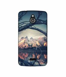 Amazon Brand - Solimo Designer Tree Reflextion 3D Printed Hard Back Case Mobile Cover for InFocus M2