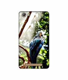 Amazon Brand - Solimo Designer Macaw Parrot 3D Printed Hard Back Case Mobile Cover for Gionee Marathon M5 lite