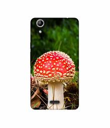 Amazon Brand - Solimo Designer Red Mushroom 3D Printed Hard Back Case Mobile Cover for Micromax Canvas Selfie 2 Q340