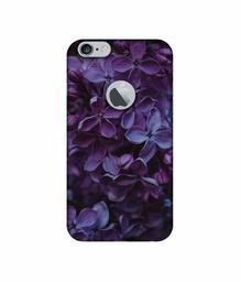 Amazon Brand - Solimo Designer Purple Flowers UV Printed Soft Back Case Mobile Cover for Apple iPhone 6 Plus / 6S Plus (Logo Cut)