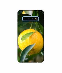 Amazon Brand - Solimo Designer Lemon 3D Printed Hard Back Case Mobile Cover for Samsung Galaxy S10 Plus