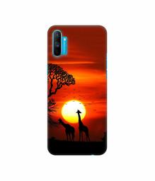 Amazon Brand - Solimo Designer Sunshade 3D Printed Hard Back Case Mobile Cover for Realme C3