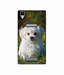 Amazon Brand - Solimo Designer White Dog UV Printed Soft Back Case Mobile Cover for Panasonic Eluga A2