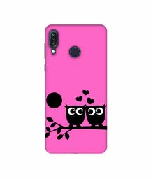 Amazon Brand - Solimo Designer Love Birds Vector 3D Printed Hard Back Case Mobile Cover for Asus Zenfone Max M1 ZB555KL