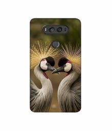 Amazon Brand - Solimo Designer Birds 3D Printed Hard Back Case Mobile Cover for LG V20