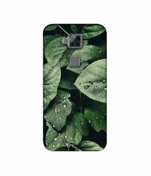 Amazon Brand - Solimo Designer Leafs 3D Printed Hard Back Case Mobile Cover for Huawei G8