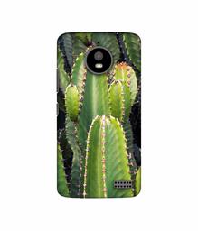 Amazon Brand - Solimo Designer Desert Plant 3D Printed Hard Back Case Mobile Cover for Motorola Moto E4