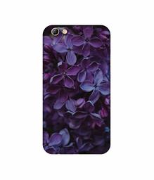 Amazon Brand - Solimo Designer Purple Flowers UV Printed Soft Back Case Mobile Cover for Oppo F3 Plus