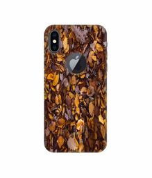 Amazon Brand - Solimo Designer Dry Leafs 3D Printed Hard Back Case Mobile Cover for Apple iPhone Xs Max (Logo Cut)