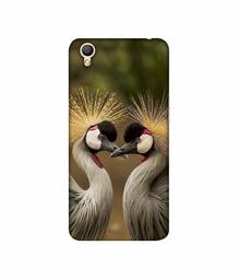 Amazon Brand - Solimo Designer Birds 3D Printed Hard Back Case Mobile Cover for Oppo A37