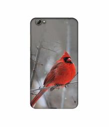 Amazon Brand - Solimo Designer Red Engry Bird 3D Printed Hard Back Case Mobile Cover for Vivo Y66