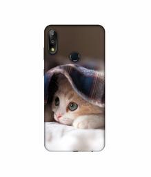 Amazon Brand - Solimo Designer Sleepy Kitten 3D Printed Hard Back Case Mobile Cover for Asus ZenFone Max Pro M2