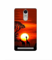 Amazon Brand - Solimo Designer Sunshade 3D Printed Hard Back Case Mobile Cover for Lenovo K5 Note