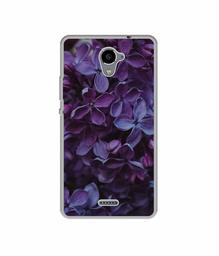 Amazon Brand - Solimo Designer Purple Flowers UV Printed Soft Back Case Mobile Cover for Panasonic Eluga Ray X