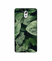 Amazon Brand - Solimo Designer Leafs 3D Printed Hard Back Case Mobile Cover for Lenovo Vibe P1M