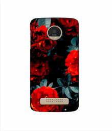 Amazon Brand - Solimo Designer Rose Photography 3D Printed Hard Back Case Mobile Cover for Motorola Moto Z Play