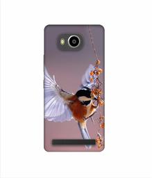 Amazon Brand - Solimo Designer Bird 3D Printed Hard Back Case Mobile Cover for Lenovo A7700