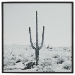 Modern Black and White Desert Cactus Photo on Wood