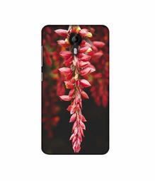 Amazon Brand - Solimo Designer Flowers Photograpy 3D Printed Hard Back Case Mobile Cover for Micromax Canvas Nitro 4G E455